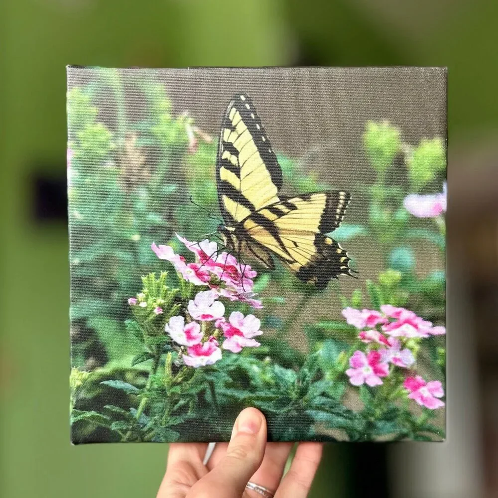 Charming Colorful Butterfly On Flower Canvas Wrapped Wall Sign Nature Decor